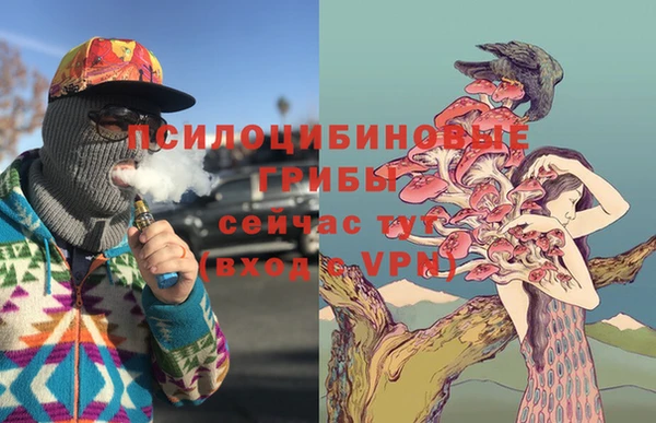 Альфа ПВП Пересвет