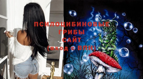 Альфа ПВП Пересвет