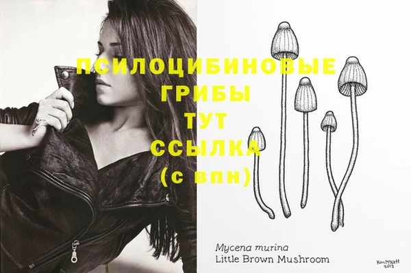 мяу мяу кристалл Переславль-Залесский