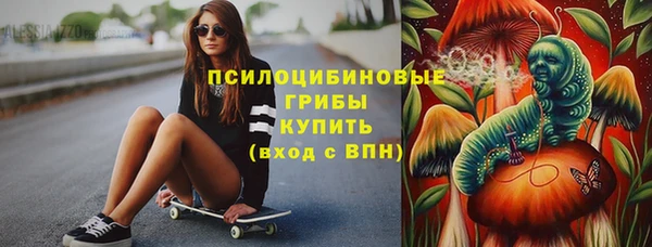 Альфа ПВП Пересвет