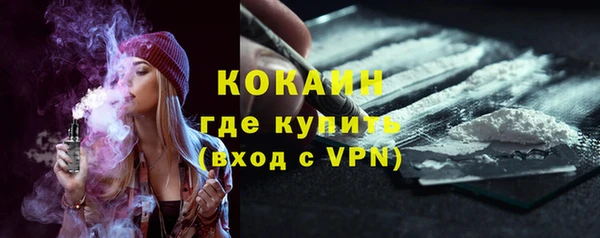 Альфа ПВП Пересвет